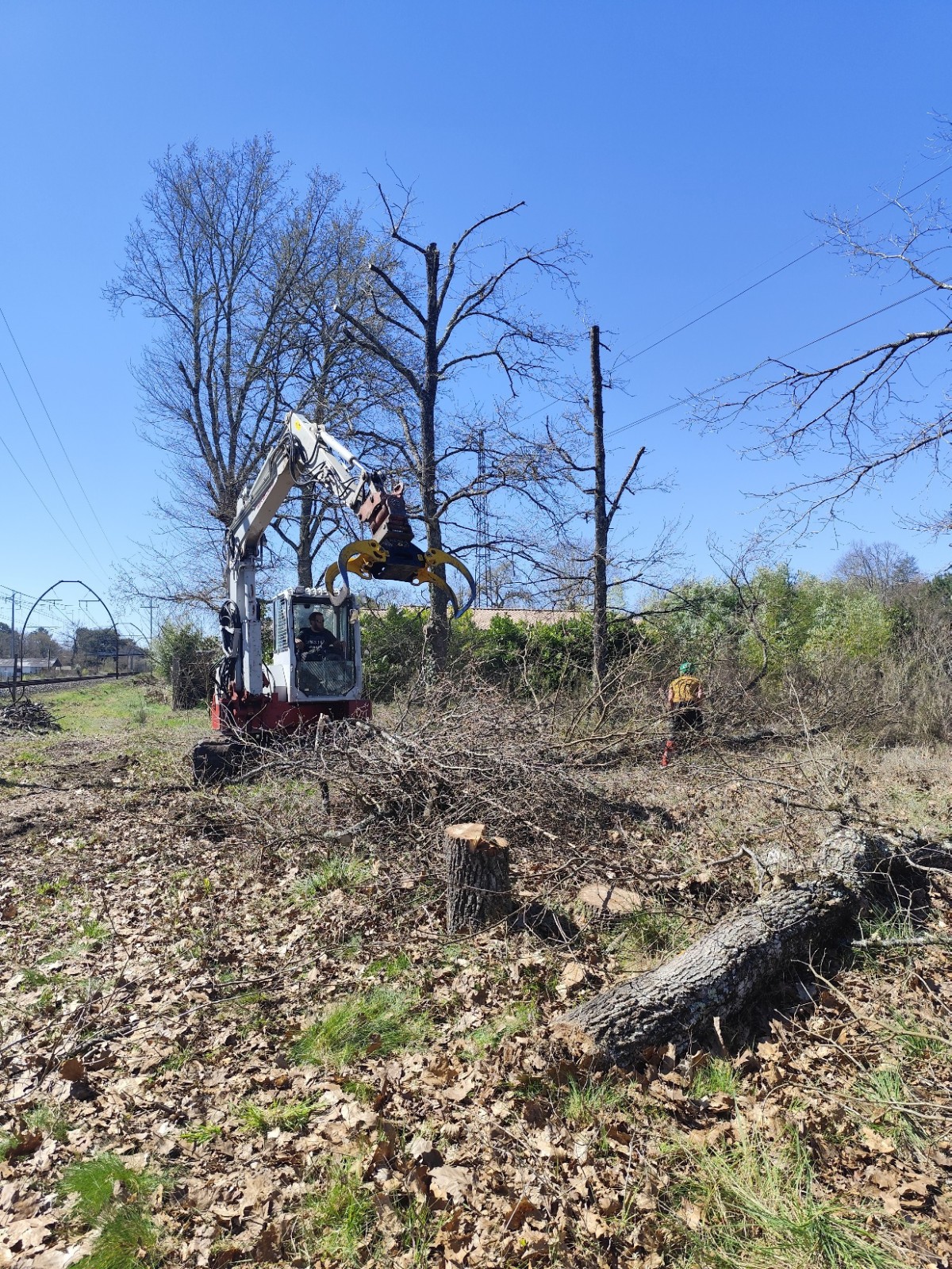 Où s'adresser pour détruire un nid de frelons asiatiques rapidement dans une maison Latresne dans  L'Entre-deux Mers Rive droite 33360