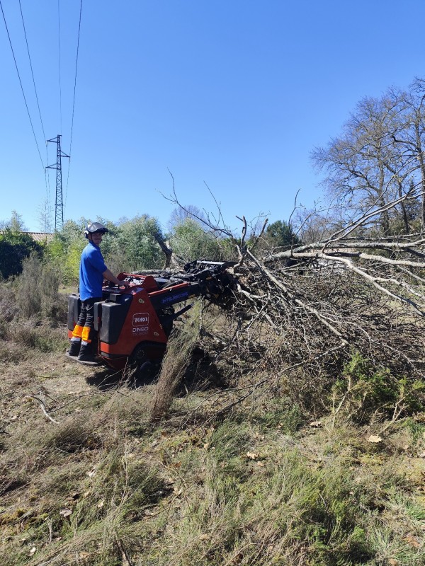 Travaux d'abattage et mise en sécurité pour la SNCF chez un riverain à Cestas en  gironde