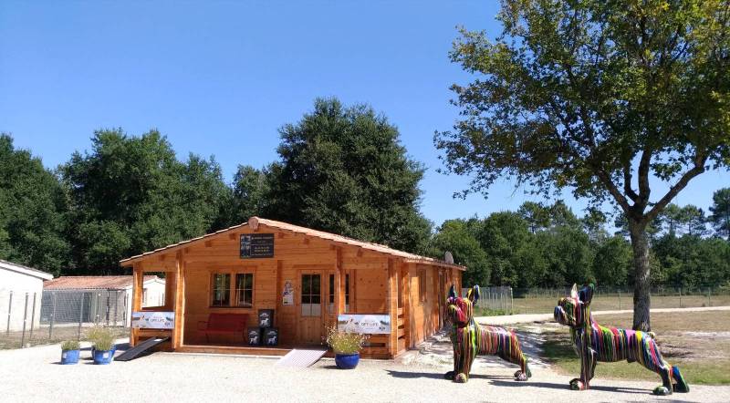 entreprise familiale spécialisée dans le bien-être animal : Animal passion 33 Landiras