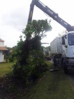 Notre zone d'activité pour ce service Société de débroussaillage de terrains pour particuliers et professionnels à