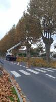 Nos prestations sur le secteur de La Brède dans le Sud-Ouest 33650